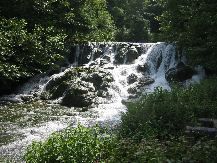 IMG_1090.JPG
