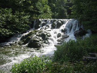IMG_1090.JPG
