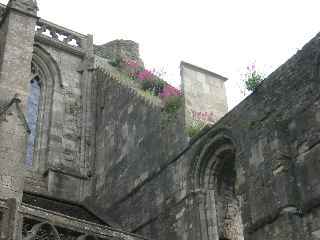 IMG_1116.JPG