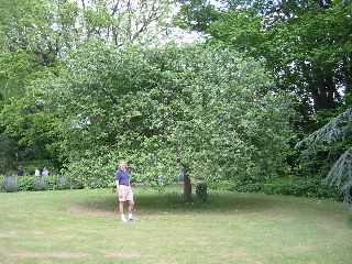 IMG_1072.JPG