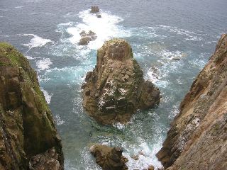 IMG_1246.JPG