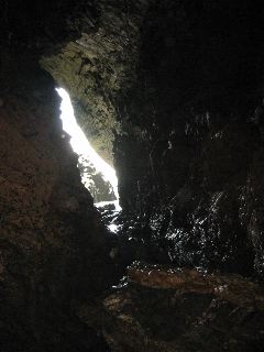 IMG_1377.JPG