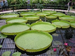 IMG_1543.JPG